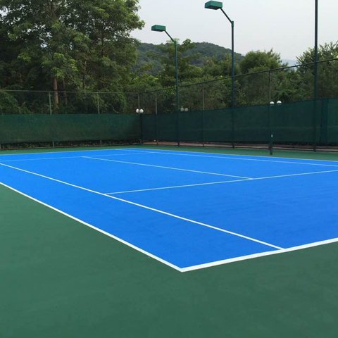 ��ϩ����