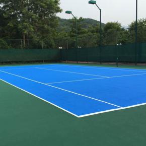 ��ϩ����