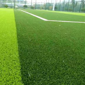 ��Ȼ��ֲ��ƺ����